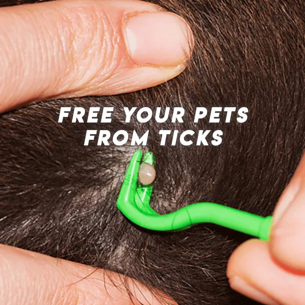 Tick Removing Tool - MeeowShop