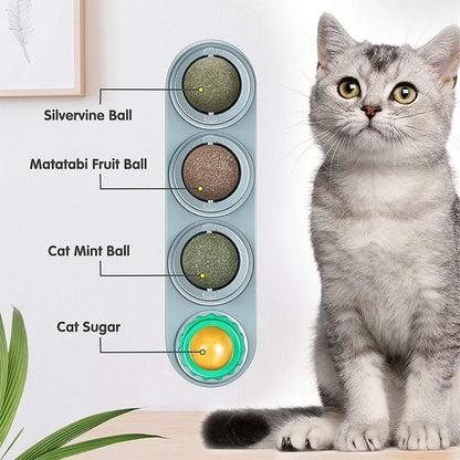 Cat's Catnip Wall Ball Toy - MeeowShop