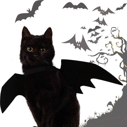 Pet's Black Bat Wings Halloween Outfit - MeeowShop