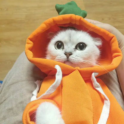 Pet's Halloween Costumes | Frog, Carrot, Banana - MeeowShop