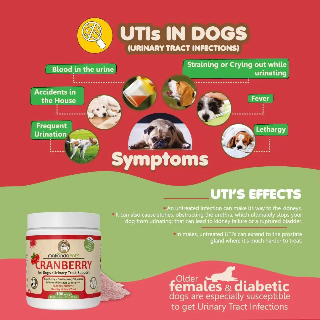 Dog's Cranberry Supplement Natural Dog UTI Treatment & Kidney Support 100 pcs