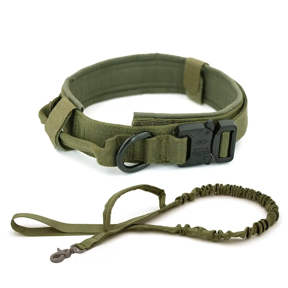 Dog's Camo Collar - MeeowShop