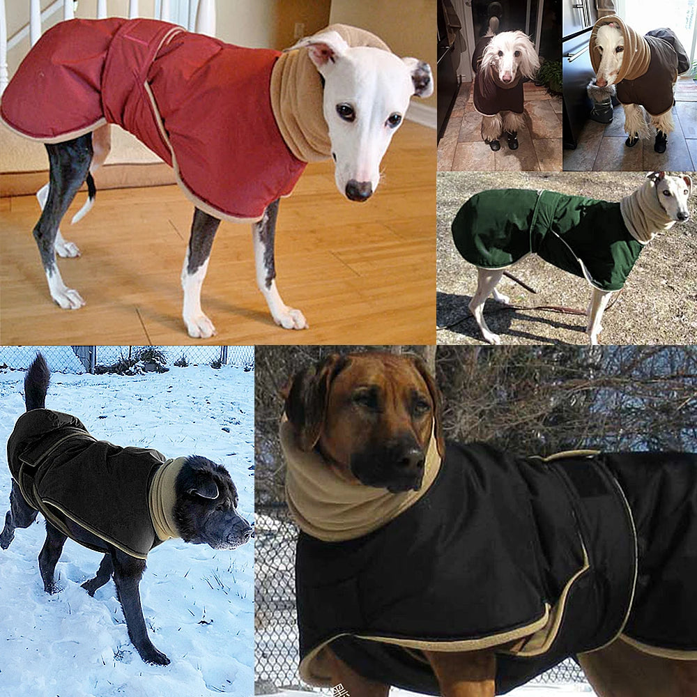 Dog's Warm Thick Winter Clothes - MeeowShop