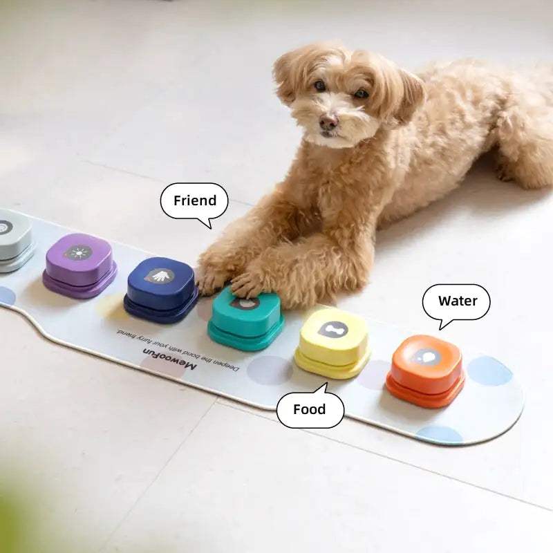 Pet's Recordable Buttons For Communication Training - MeeowShop