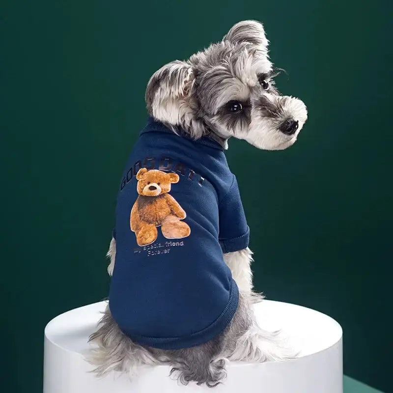 Pet's Pullover Onezie Bear Embrace - MeeowShop