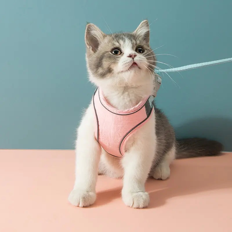 Cat's Harness & Leash Set - MeeowShop