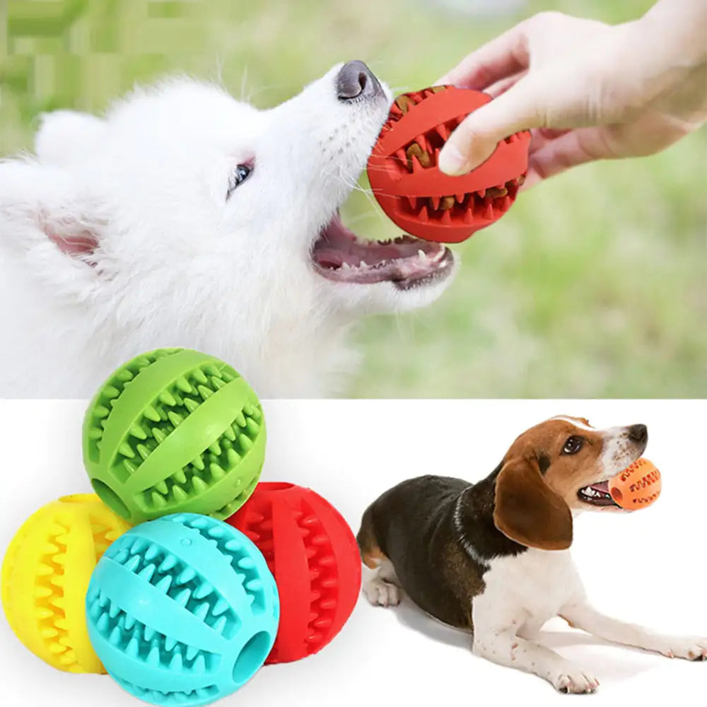 Pet's Interactive Rubber Ball Toy - MeeowShop