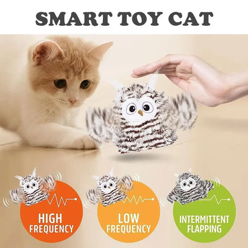 Cat's Intelligent Owl Toy - MeeowShop