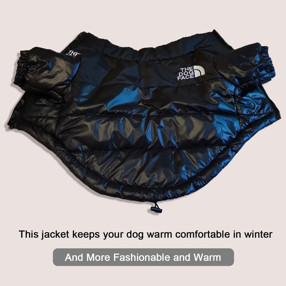 Windproof Reflective Dog Jacket | The Dog Face