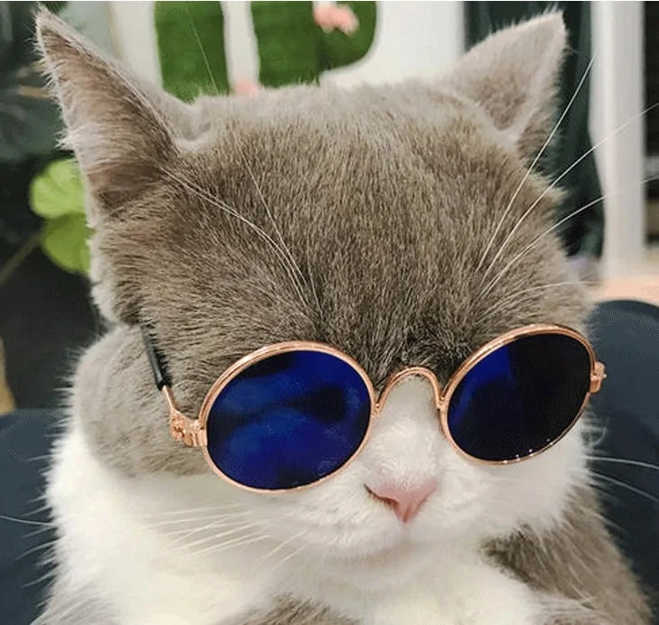 Pet's Round Vintage Sunglasses - MeeowShop