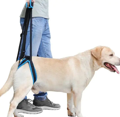 Dog's Leg Supporter With Handle - MeeowShop