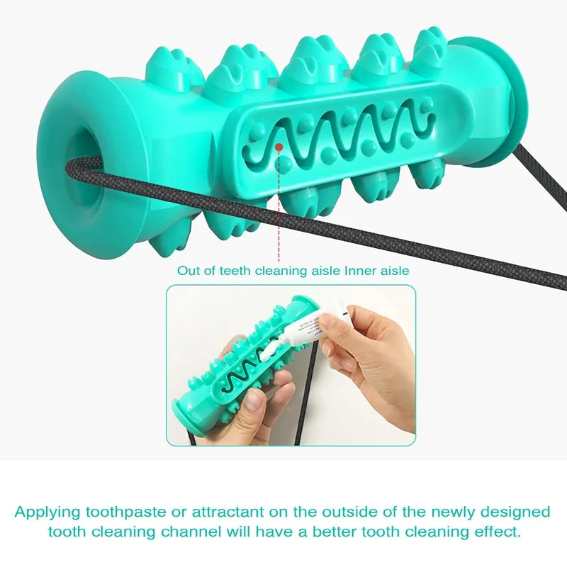 Dog's Chewy Toothbrush Toy - MeeowShop