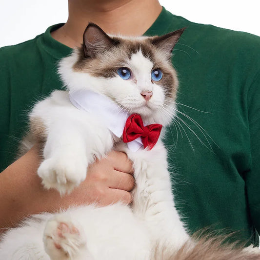 Pet's Adjustable Bow Tie - MeeowShop