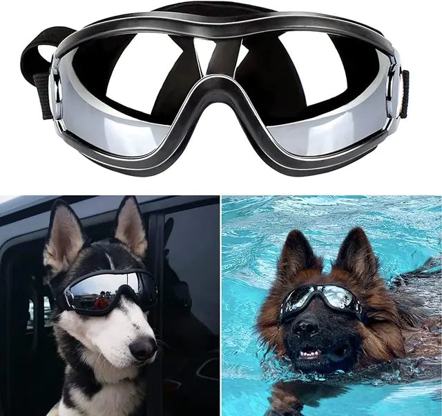 Doggo's Goggles | Adjustable Strap Goggles for Dog's - MeeowShop