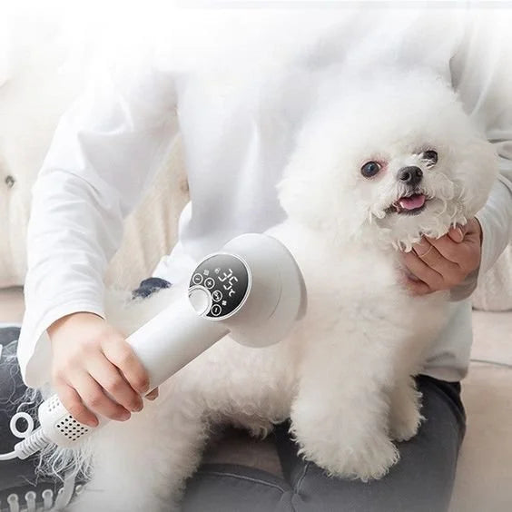 Pet's Quiet Hair Dryer - MeeowShop