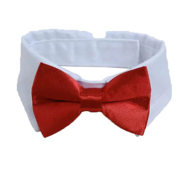 Pet's Adjustable Bow Tie - MeeowShop