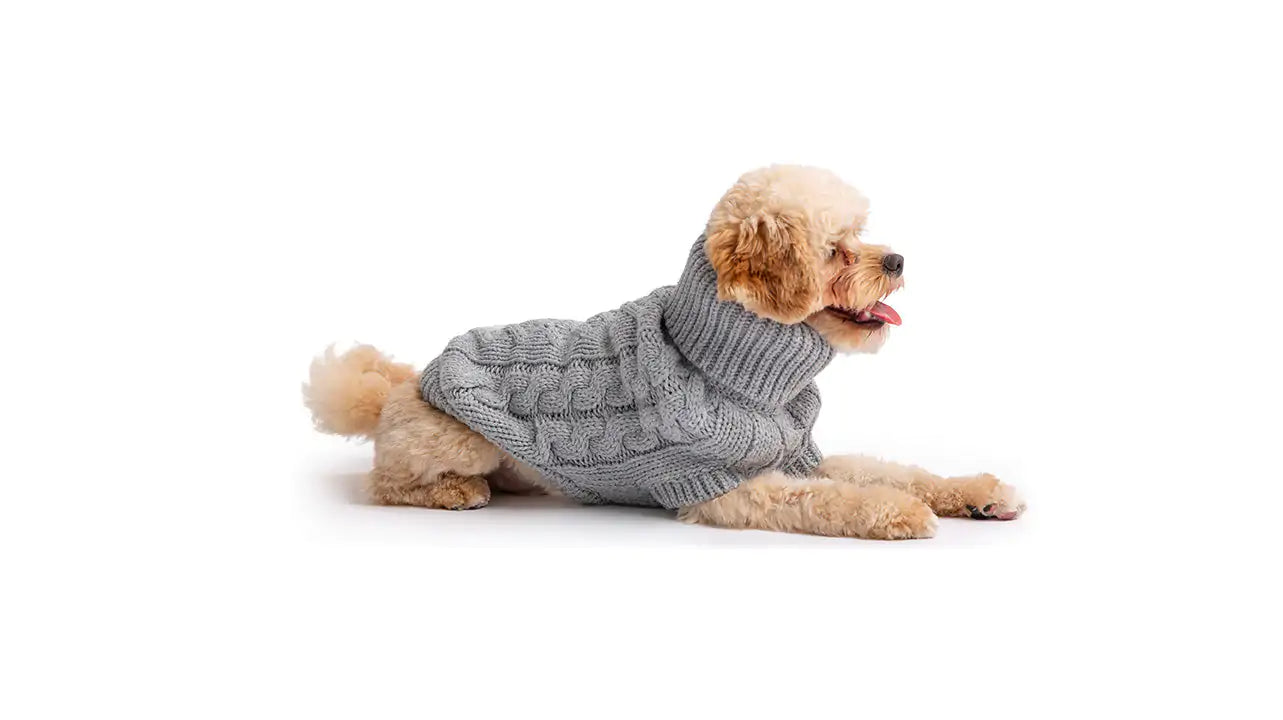 Dog's Chunky Winter Sweater - MeeowShop