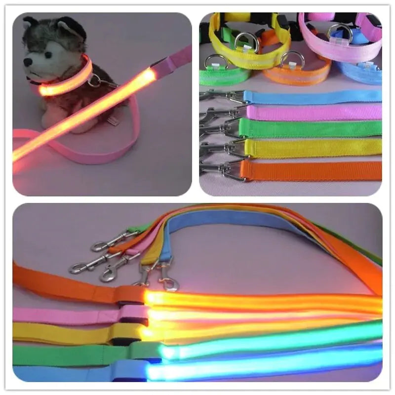 Dog's LED Light Leash - MeeowShop