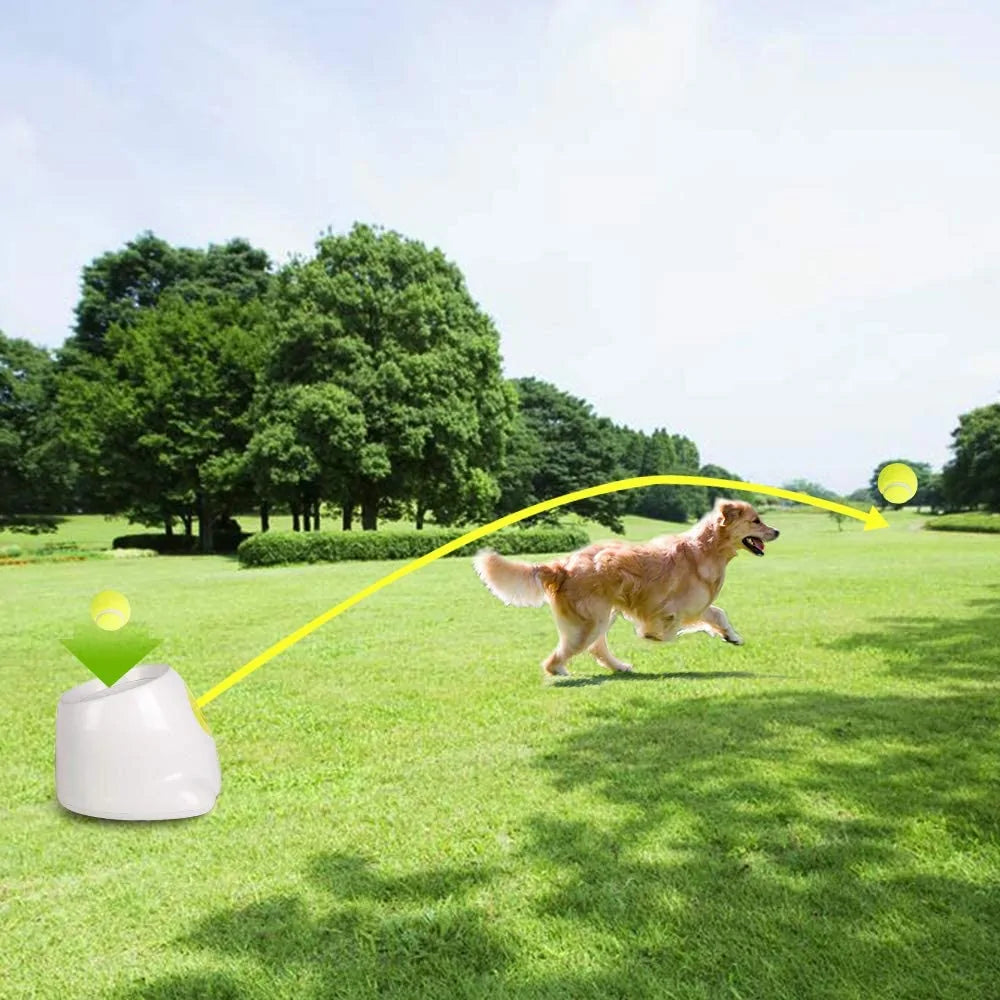 Dog's Automatic Ball Launcher | Hyper Fetch - MeeowShop