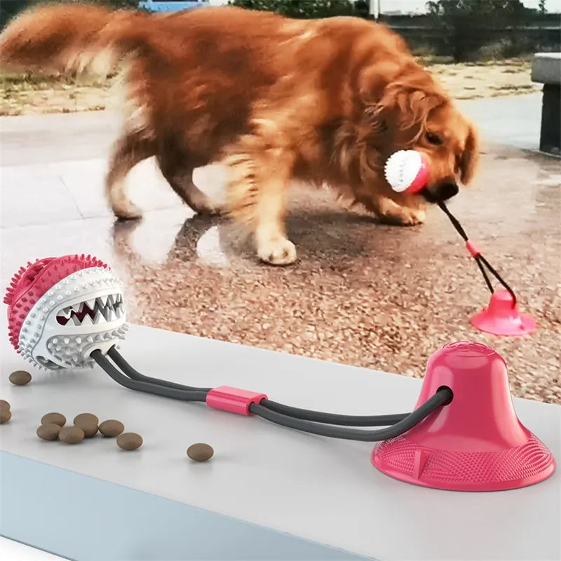 Dog's Treat Ball Toy with Suction Cup - MeeowShop