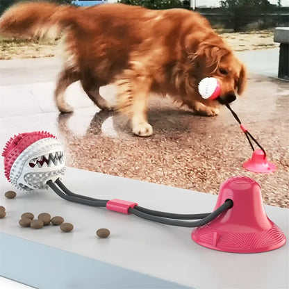 Dog's Treat Ball Toy with Suction Cup - MeeowShop