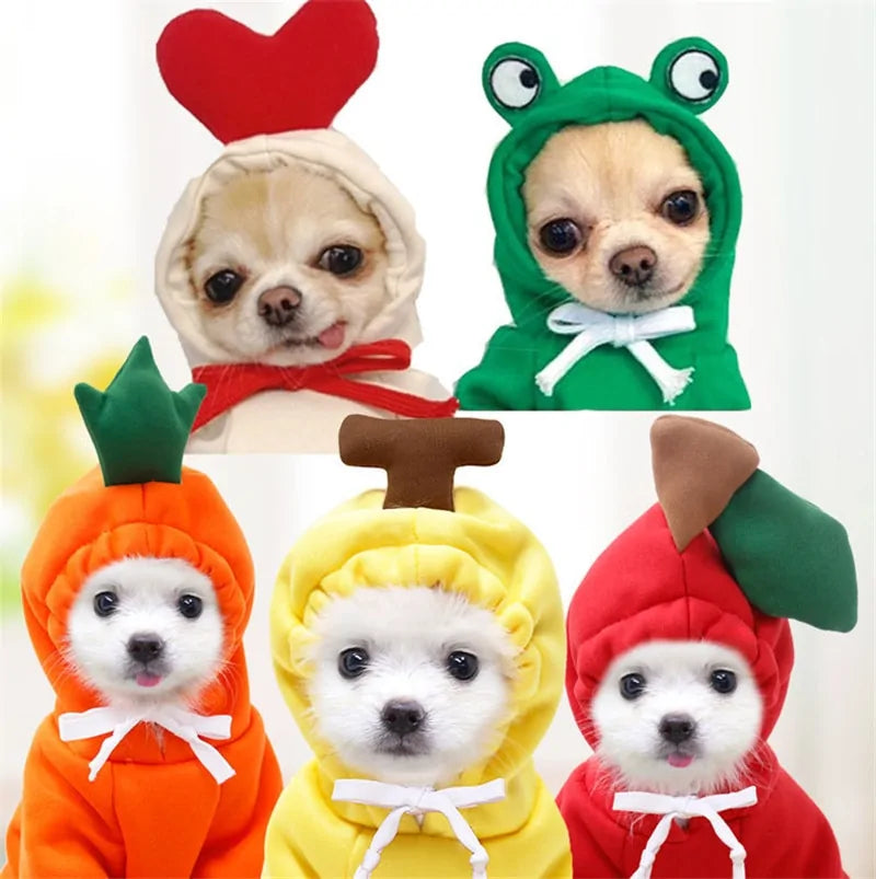 Pet's Warm Winter Clothes - MeeowShop