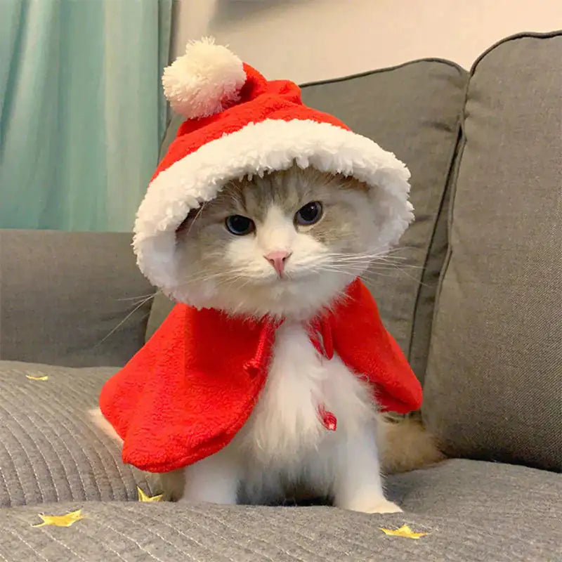 Cat's Festive Fur Holiday Attire - MeeowShop