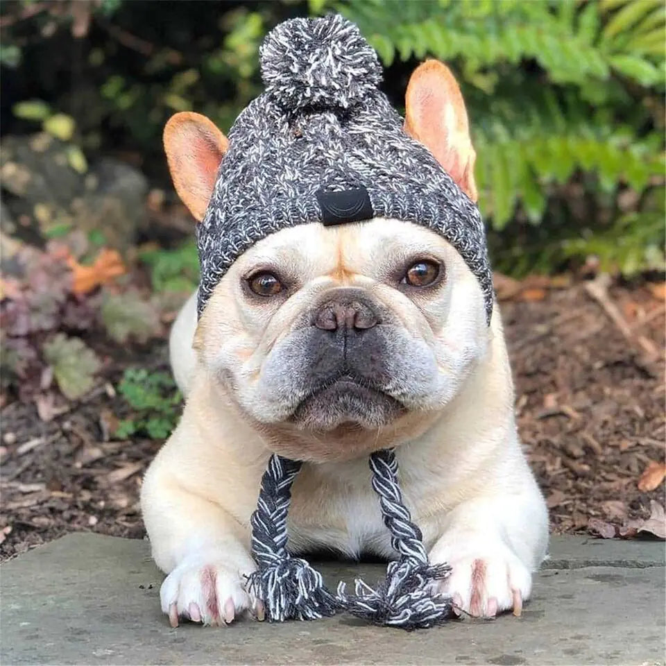 Pet's Fancy Winter Hat - MeeowShop