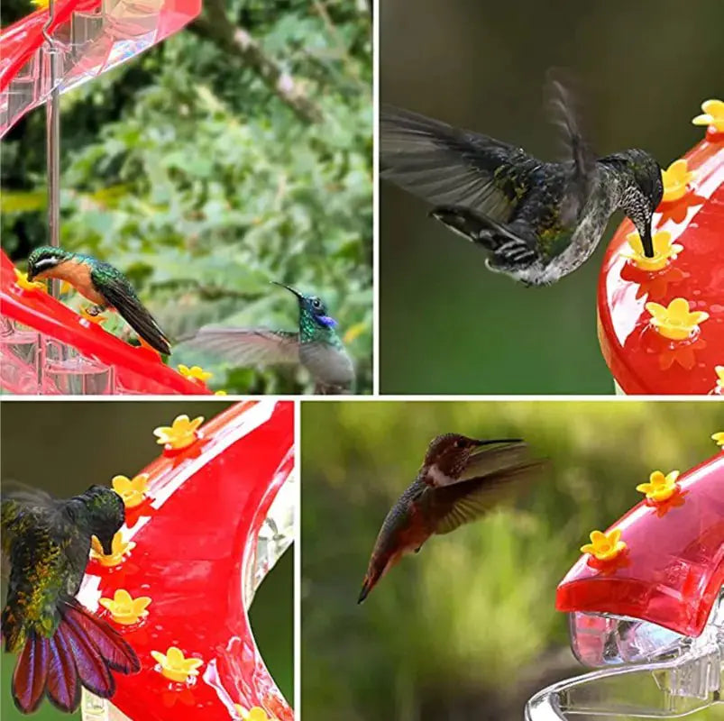 Helix Hummingbird Feeder - MeeowShop