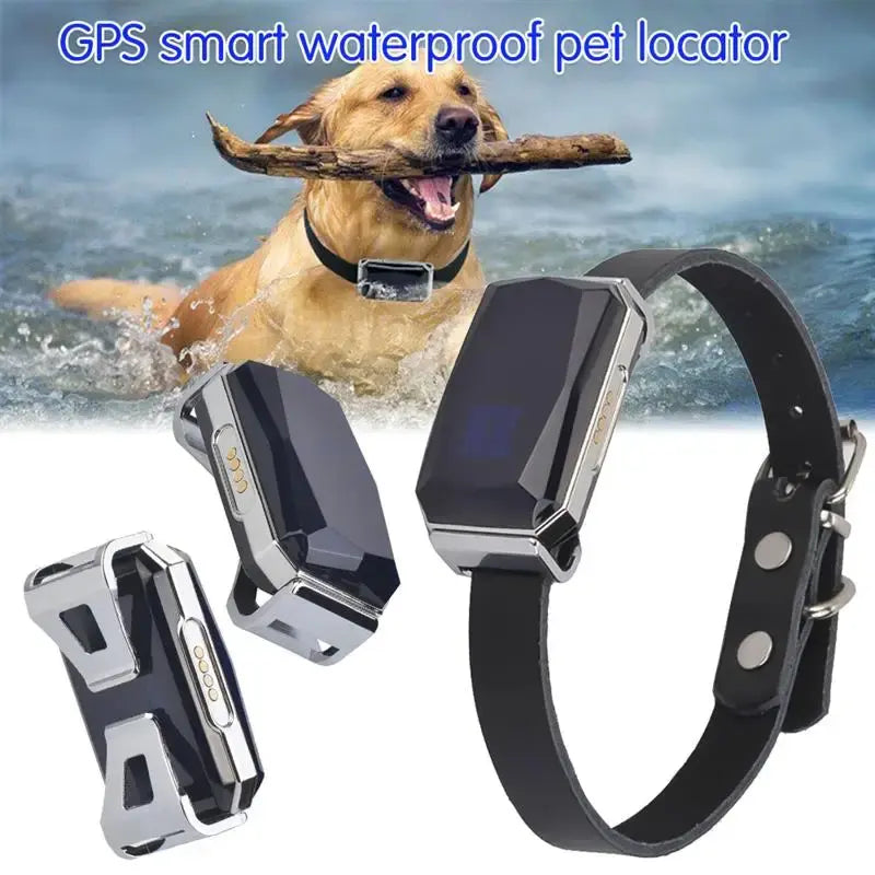 Pet's Waterproof Smart Collar GPS Locator - MeeowShop