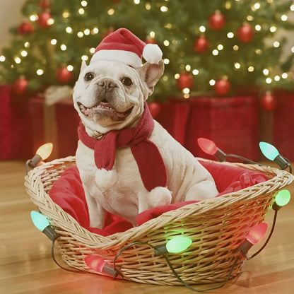 Pet's Christmas Santa Hat