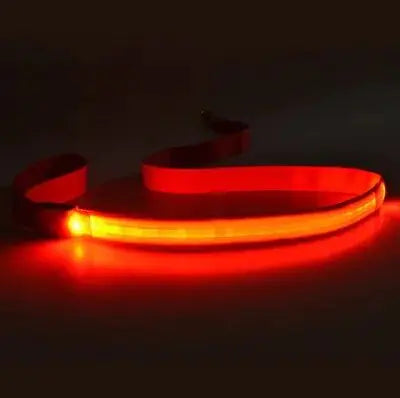 Dog's LED Light Leash - MeeowShop