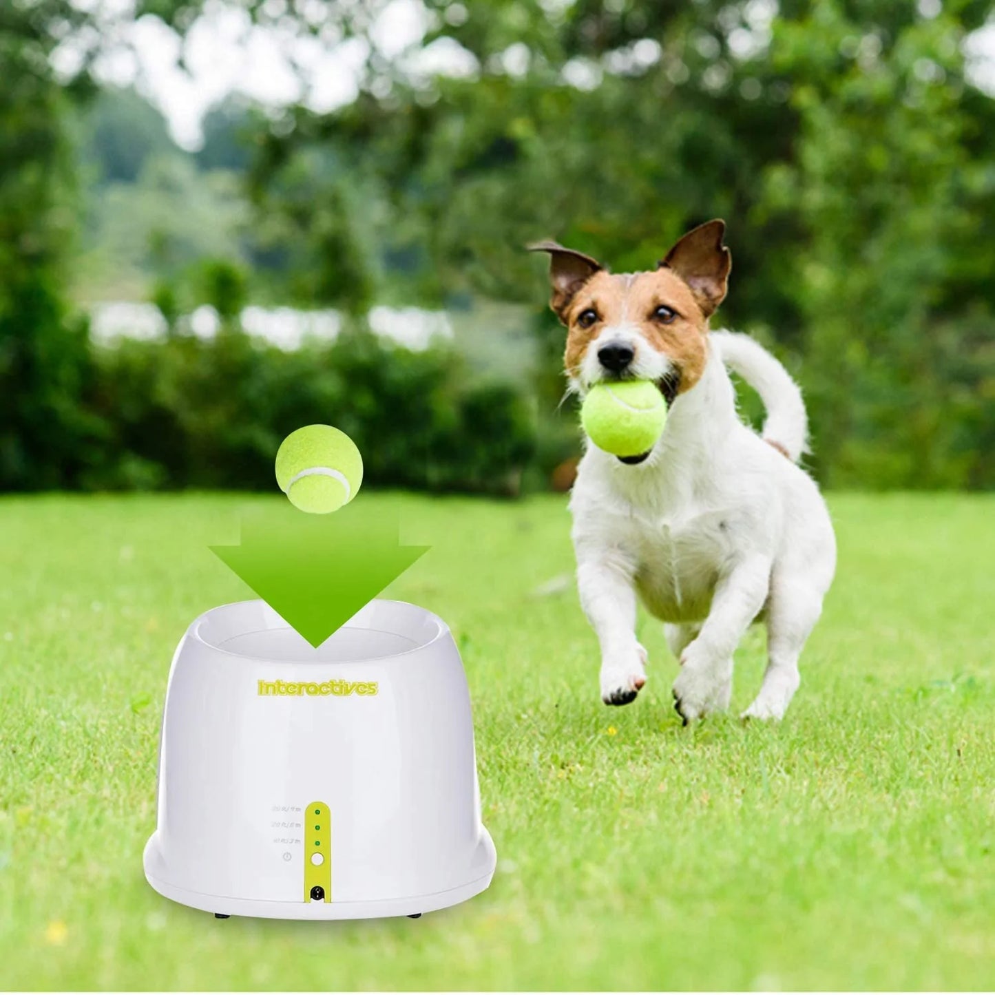 Dog's Automatic Ball Launcher | Hyper Fetch - MeeowShop