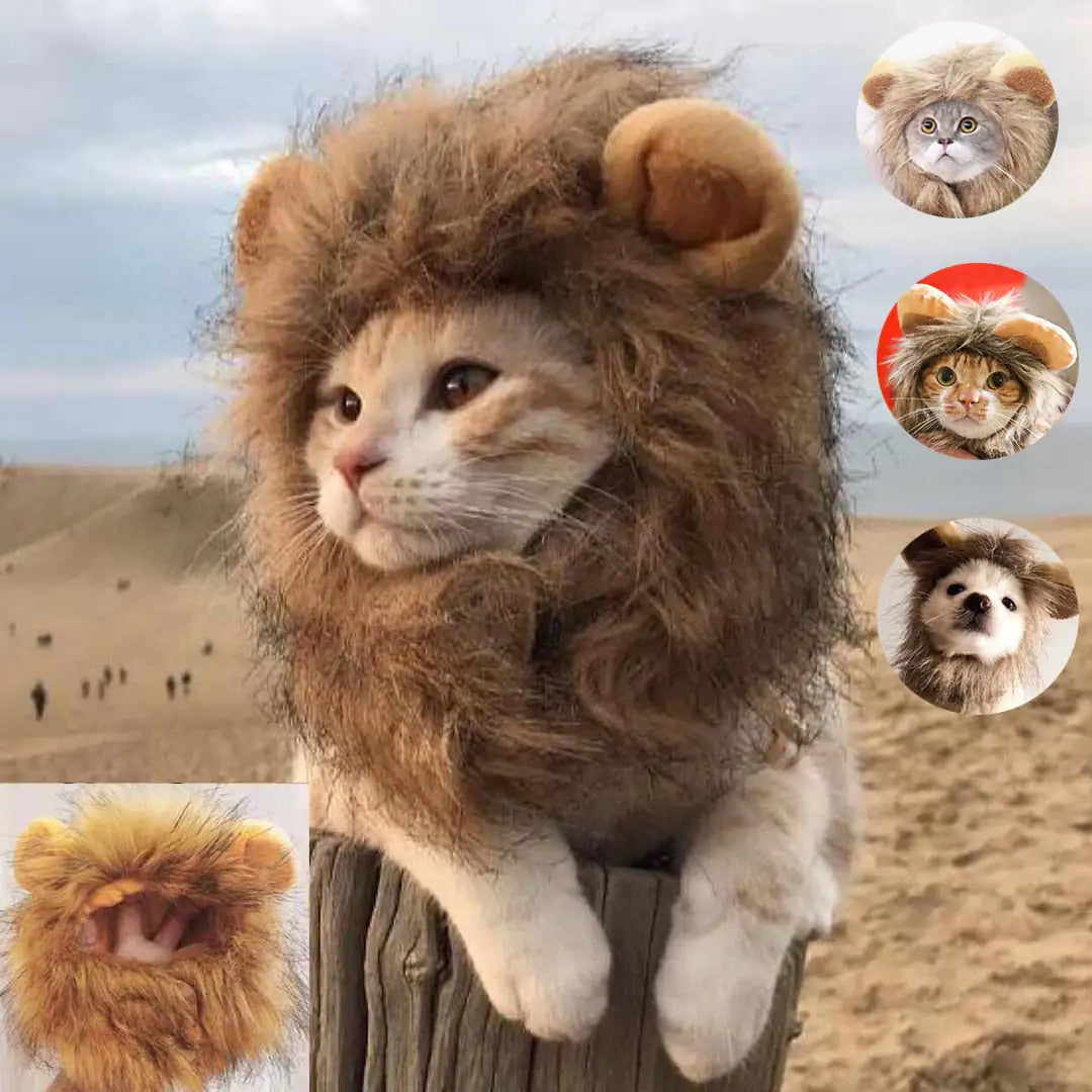 Cat's Lion's Mane Costume - MeeowShop