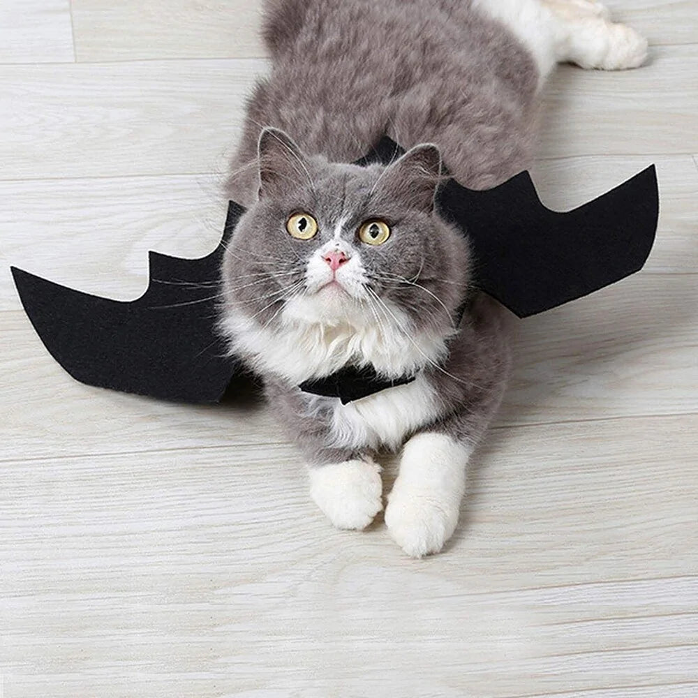 Pet's Black Bat Wings Halloween Outfit - MeeowShop