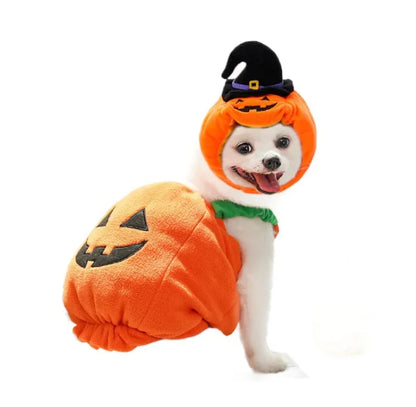 Dog's Pumpkin Paws Halloween Hat