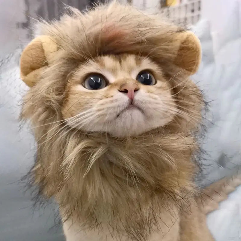 Cat's Lion's Mane Costume - MeeowShop