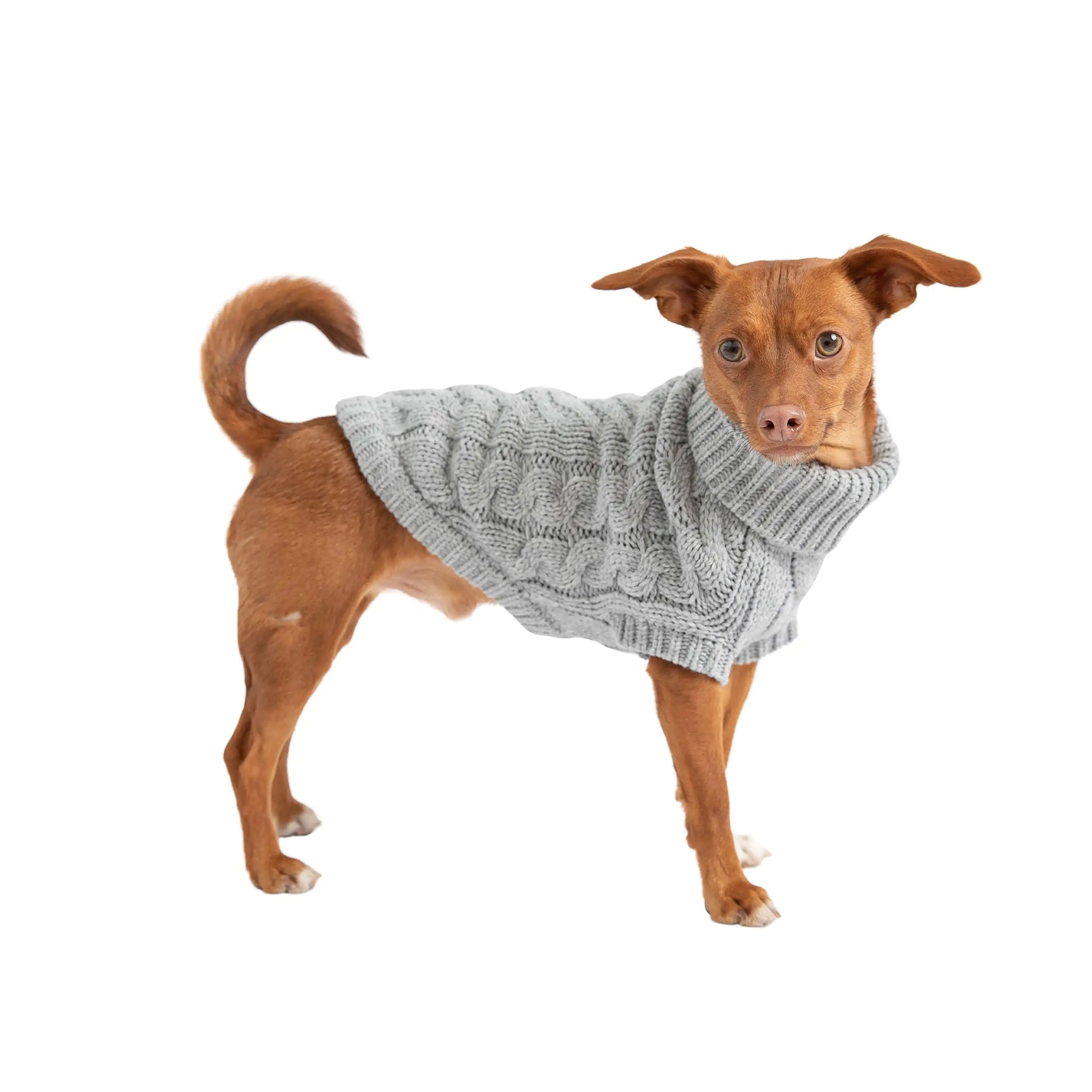 Dog's Chunky Winter Sweater - MeeowShop