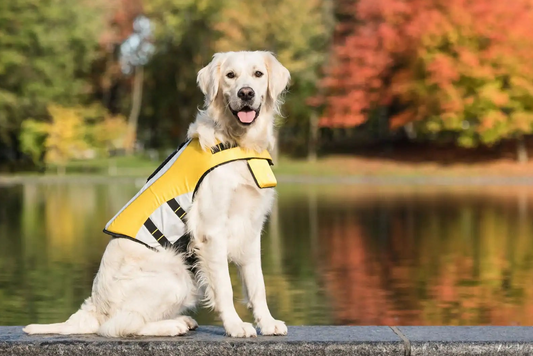 Dog's Life Vest Jacket