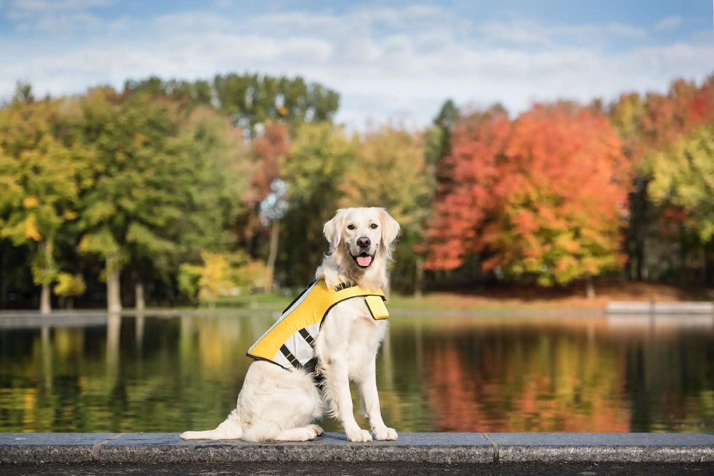 Dog's Life Vest Jacket - MeeowShop