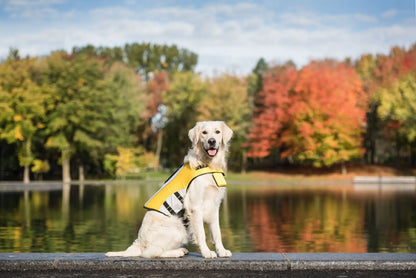 Dog's Life Vest Jacket - MeeowShop