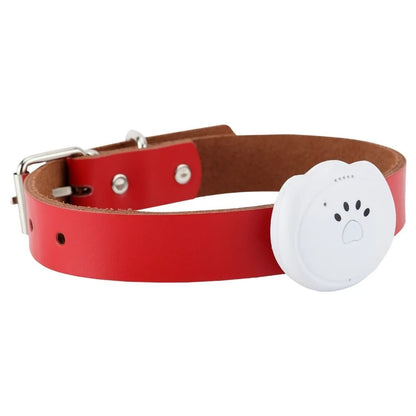 Pet's Waterproof Mini GPS Collar - MeeowShop