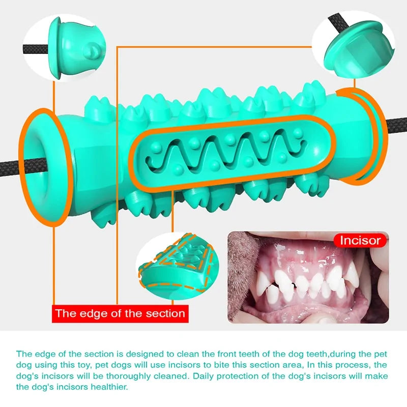 Dog's Chewy Toothbrush Toy - MeeowShop