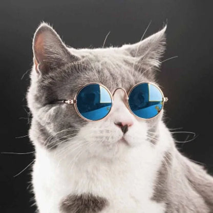 Pet's Round Vintage Sunglasses - MeeowShop