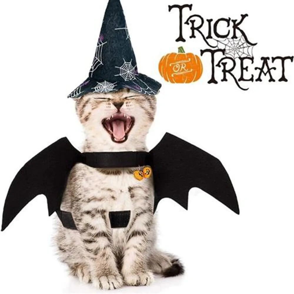 Pet's Black Bat Wings Halloween Outfit - MeeowShop