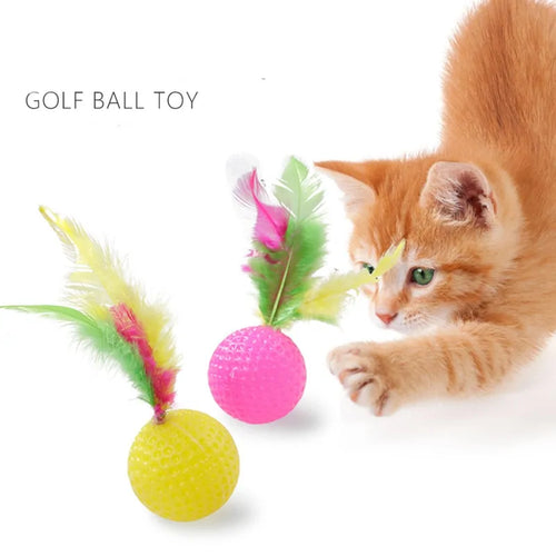 Cat's Plastic Golf Ball with Feather Toy - MeeowShop