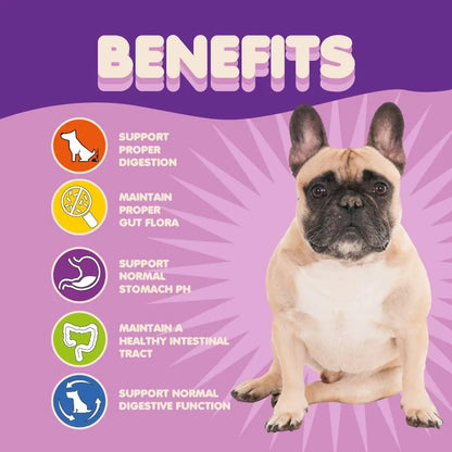 Probiotics for Dogs Puppies Extra Strength 9 Species 5 Billion CFU per Scoop