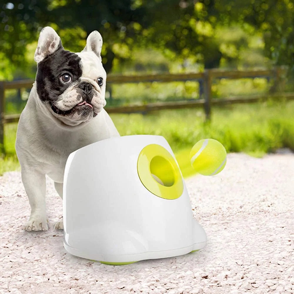 Dog's Automatic Ball Launcher | Hyper Fetch - MeeowShop