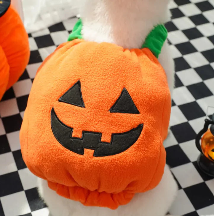 Dog's Pumpkin Paws Halloween Hat