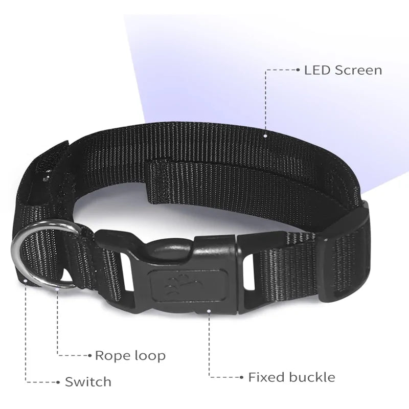 Pet's Bluetooth Luminous Collar - MeeowShop